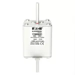 170M5881 FUSE 200A 690V DIN 2 GR
