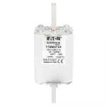 170M4724 FUSE 100A 1250V 1SHT AR