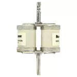 630CMMT 630A 690V TYPE T FUSE(1)