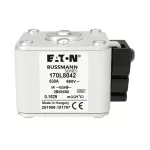 170L8042 FUSE 630A 660V 2BKN/50 AR