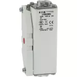 170M2003 FUSE 100A 750VDC 1C/A124 PC GR