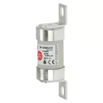 TFP200M250 250AMP 415V AC INDUSTRIAL FUSE