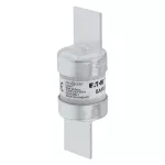 XS100 100Amp 440Vac OFFSET BLADE TAG BS88 FUSE