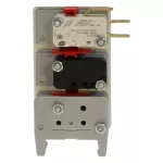 170H3036 2A 250V MICROSWITCH K1 3 4KV