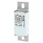 170M1810 FUSE 160A 1000V DC 000FU/90 AR UR