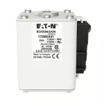 170M5441 Wkładka szybka, 350 A, AC 1250 V, size 2, 61 x 77 x 81 mm, aR, IEC, UL