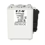 170M5439 Wkładka szybka, 280 A, AC 1250 V, size 2, 61 x 77 x 81 mm, aR, IEC, UL