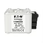 170M5406 FUSE 250A 660V 2BKN/50 AR