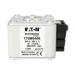 170M5406 FUSE 250A 660V 2BKN/50 AR