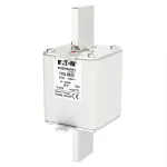 170L8925 FUSE 315A 1000V 2SHT AR