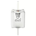 170L8925 FUSE 315A 1000V 2SHT AR