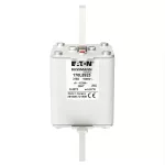 170L8925 FUSE 315A 1000V 2SHT AR