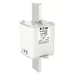 170L8925 FUSE 315A 1000V 2SHT AR