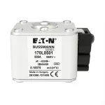 170L8699 FUSE 450A 2000V 2TN/170 AR