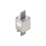 170L8927 FUSE 450A 1000V 2SHT AR