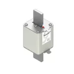 170L8927 FUSE 450A 1000V 2SHT AR