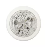 SOLX/BF/CL/W/S Sygn. Opt. Solista MAXI, niebiesk. światło