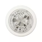 SOLX/GF/CL/W/S Sygn. Opt. Solista MAXI, zielone. światło