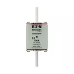 100NHG2BWP NH, LV, 100A, 500V gG rozmiar 2, WR