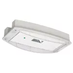 IP65PHP1H Oprawa awaryjna i-P65 PLUS, H, 1H, asymetryczna, CNBOP