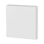 CWIZ-01/38 Klawisz pojedynczy, biały, połysk