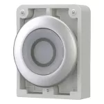 M30C-FDRL-W-X0 Podśw.przycisk 30mm płaski bez sam. "O"