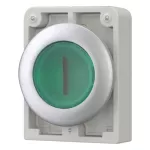 M30C-FDRL-G-X1 Podśw.przycisk 30mm płaski bez sam.zielony "I"