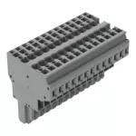 2-przewodowe gniazdo CAGE CLAMP®, szara 769-133