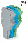 1-przewodowe gniazdo Push-in CAGE CLAMP®, szary/niebieski/żółto-zielony 2022-103/000-038
