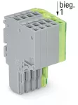 2-przewodowe gniazdo Push-in CAGE CLAMP®, szary/żółto-zielony 2020-205/000-036