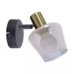 Oprawa ścienno-sufitowa AYRA E14 1C BLACK/GOLD