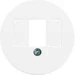 Serie 1930/Glas Płytka czołowa do gniazda głośnikowego i ładowania USB, biały