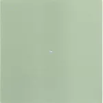 B.IQ Przycisk 1-krotny komfort, stal szlachetna nierdzewna