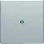 Q.x Płytka czołowa do przyłącza kablowego, alu aksamit, lakierowany