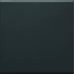 tehalit.WA Klawisz do łącznika 1-klawiszowego PC-ABS bezhalogenowy czarny