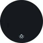 R.x Klawisz nadr. symb. "światło" do łącz. klaw. 1-kr, czarny