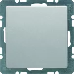 Q.x Zaślepka z płytką czołową, bez pazurków rozporowych, alu aksamit, lak