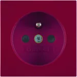 B.X/S.1 Płytka czołowa z przysł. st. do gn. z uz. czerwony