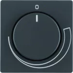 Q.x Płytka czoł. pokręt. reg. do regulatora obrotów, ant aks, lak