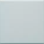 tehalit.WA Klawisz do łącznika 1-klawiszowego PC-ABS bezhalogenowy jasnoszary