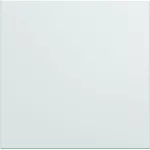 gallery Klawisz do łącznika 2M biały