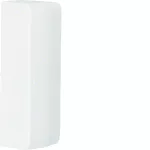 tehalit.ateha Końcówka do kanału 20x75, biały