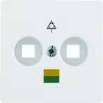 Q.1/Q.3 Płytka czołowa do gniazda wyrównania potencjału podwójnego, biały