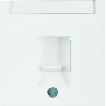 B.X/S.1 Płytka czołowa pojedyncza zas. chr. p. kurz., p.opis., biały