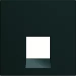 gallery Płytka czołowa pojedyncza do gniazda RJ45 z wyjściem 45° 2M czarny