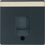 Q.x Płytka czołowa pojedyncza zas. chr. p. kurz., p.opis., ant aks, lak