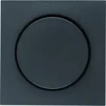 B.X Płytka czoł. pokręt. reg. do ściemniacza obrotowego, ant mat