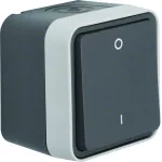 W.1 Łącznik 1-klawiszowy 2-biegunowy z nadrukiem "0/1", kompletny, IP55, szary