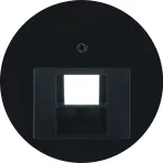 R.X Płytka czołowa do gniazda przyłącz. UAE 1-kr komp./tel. cz