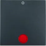 B.X Klawisz z czerw. socz. z nadrukiem "0" do łącz. 2- i 3-bieg., ant